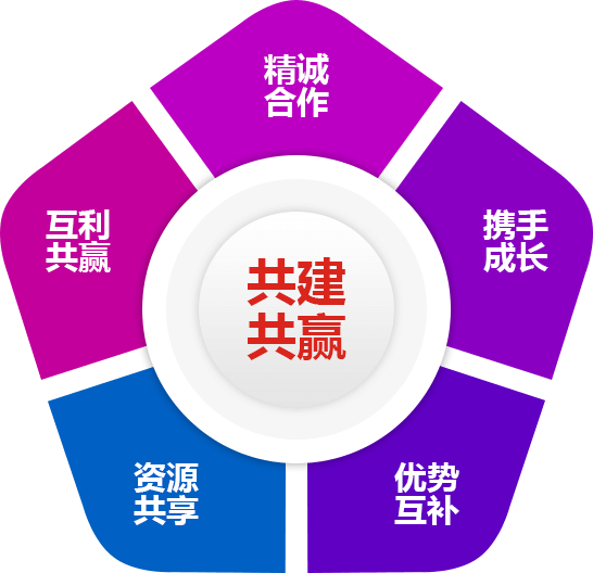 攜手91看片入口网址，共建共贏